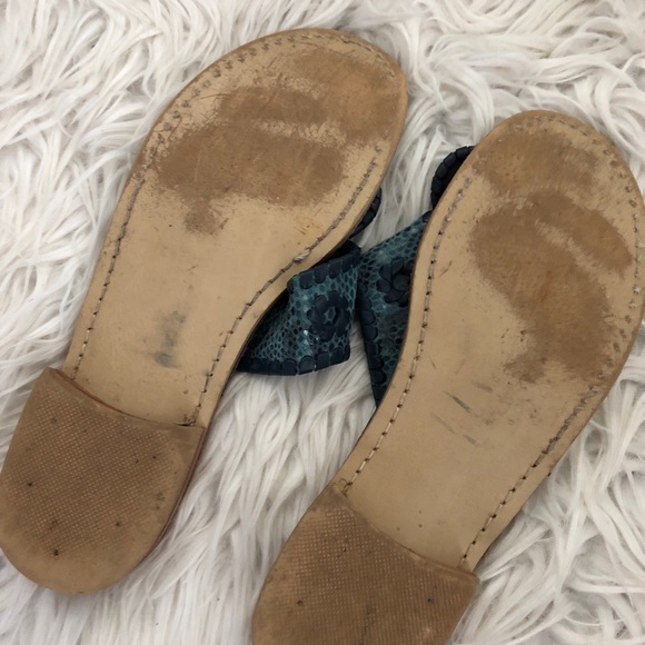 Blue Jack Rogers - Picture 4 of 4